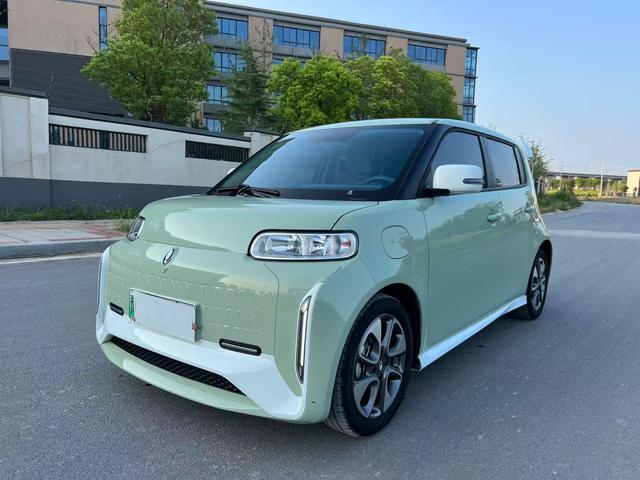 Euler White Cat 2022 Little Wild Cat Version 360km Luxury Ternary Lithium