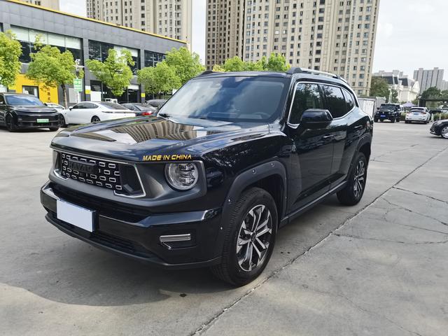 Haval Big Dog PLUS 2023 2.0T two-wheel drive Tide Wild Version Plus