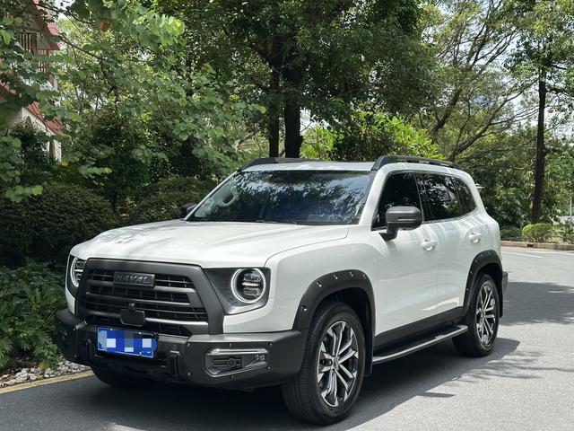 Havoc Big Dog 2022 1.5T 2WD HorseDog Pursuit Edition