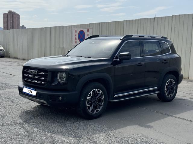 Havoc Big Dog 2021 2.0T 4WD Chinese Garden Dog Edition