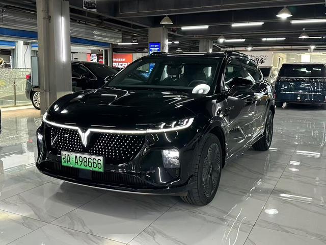 Landu Soulmate 2024 Four-wheel drive Global Edition