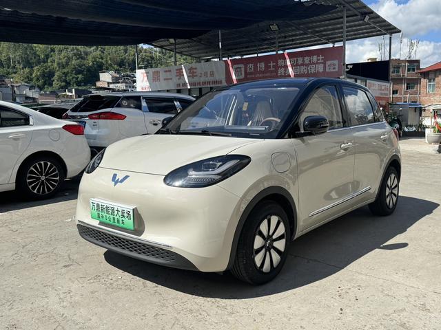 Wuling Bingguo 2025 Model 333KM Yuexiang Model