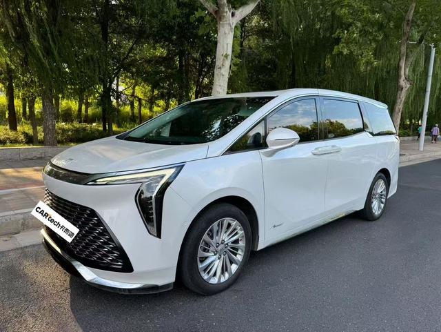 Century 2023 2.0T Six-Seat Embracing World Edition