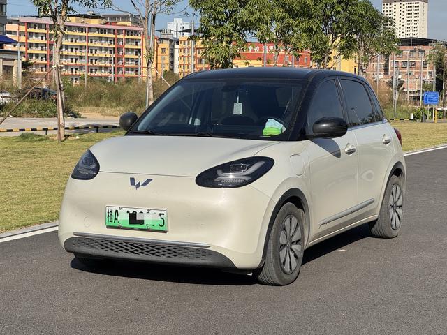 Wuling Colorado 2023 333KM Yuexiang Model