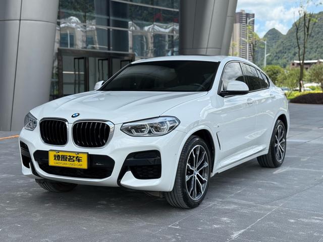 BMW X4 2019 xDrive30i M Sport Package