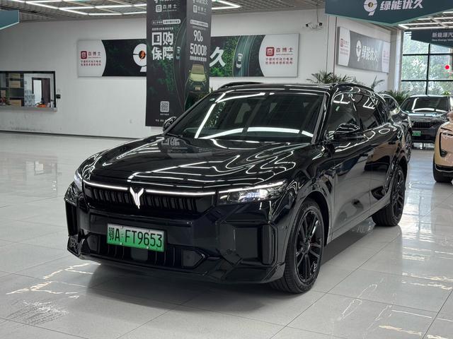 Lantu FREE 2025 Model 318 Rear Drive Touring Version