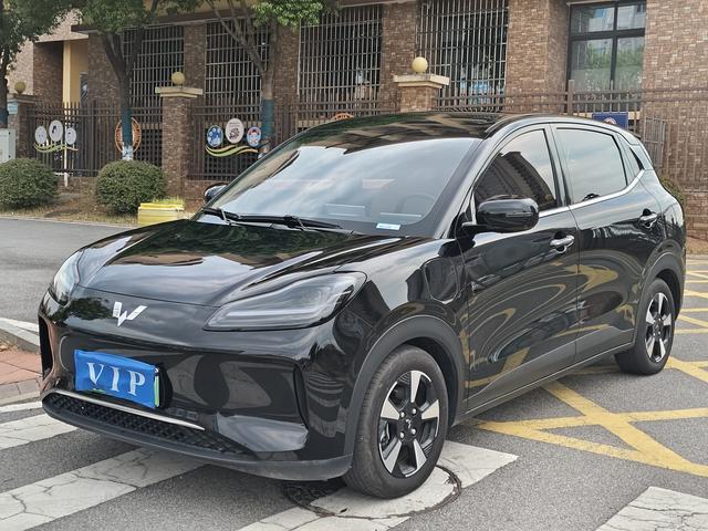 Wuling Bingguo PLUS 2024 510km Ultimate Edition
