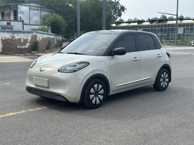 Wuling Colorado 2023 333KM Yuexiang Model