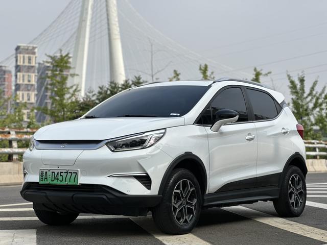 Yuan Pro 2021 401KM Premium