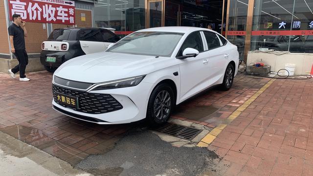 Qin L DM 2024 DM-i 80KM leading type