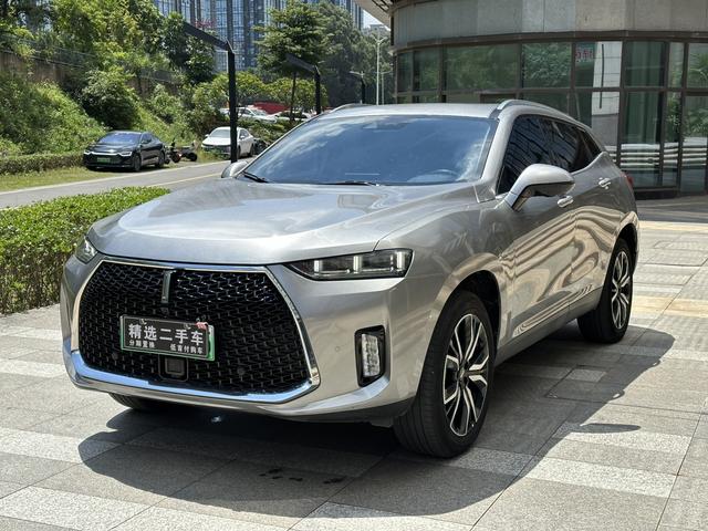 Wei brand P8 2018 2.0T Exclusive type
