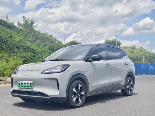 Wuling Bingguo PLUS 2024 510km five-seater version