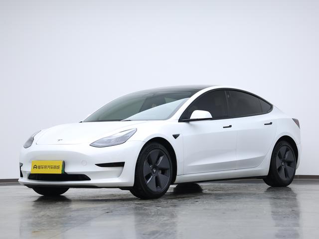 Model 3 2021 Standard Range Rear Drive Upgrade 3D1
