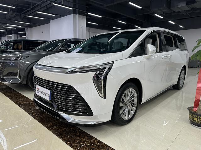 Century 2023 2.0T Six-Seat Embracing World Edition