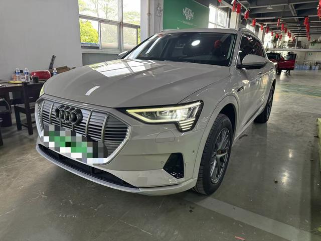 Audi e-tron (import) 2019 55 quattro stylish