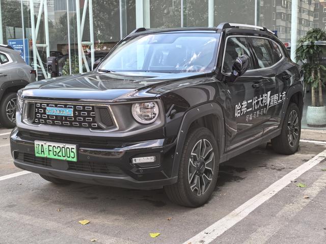 Haval Big Dog PLUS PHEV 2024 Hi4 102km Four-wheel drive Tide Electric Plus