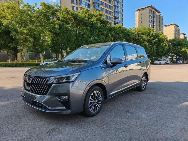 Wuling Jiachen 2022 1.5T CVT Exclusive Flagship Model