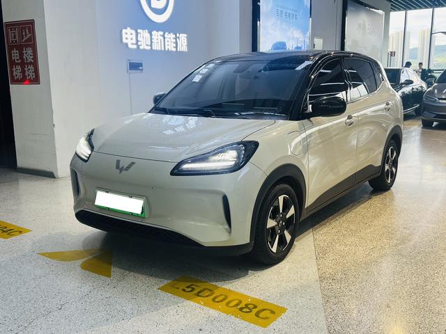 Wuling Bingguo PLUS 2024 330km five-seater version