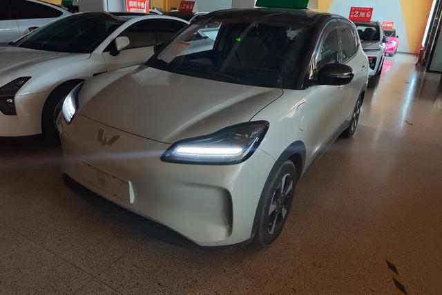 Wuling Bingguo PLUS 2024 330km five-seater version