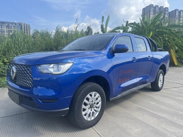 Gun 2020 commercial version 2.0T diesel automatic four-wheel drive elite long box GW4D20M