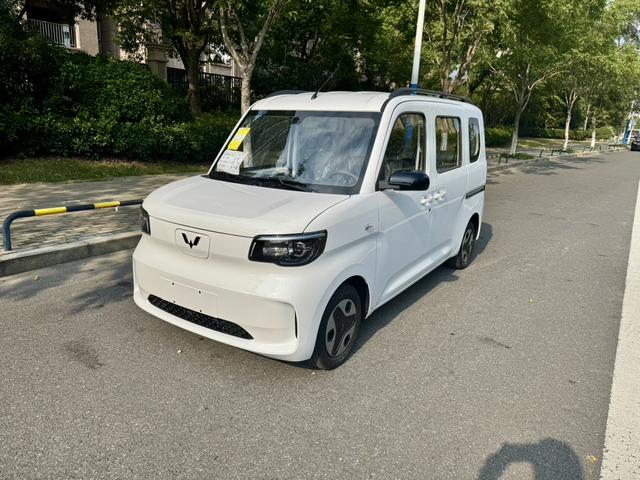 Wuling Zhiguang EV 2025 Aggressive Type