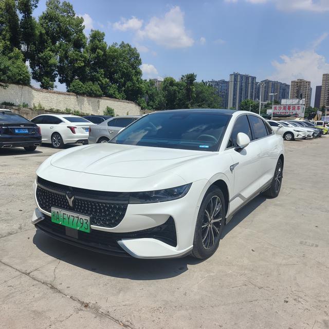 Arcturus Chase PHEV 2024 Ultra Long Range 4WD Executive Edition