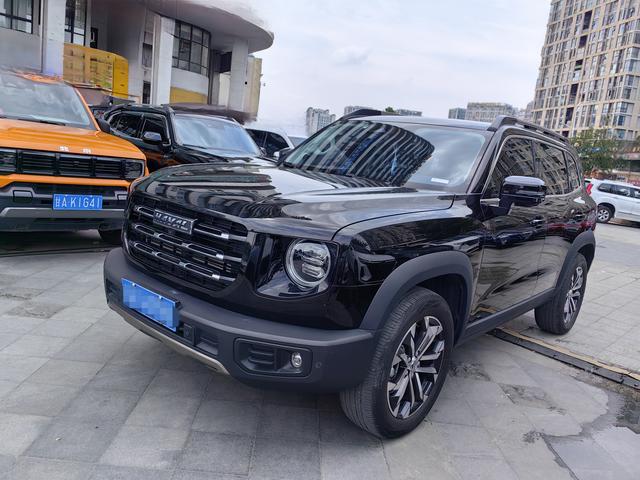 Havoc Big Dog 2021 1.5T 2WD Border Ranch Edition