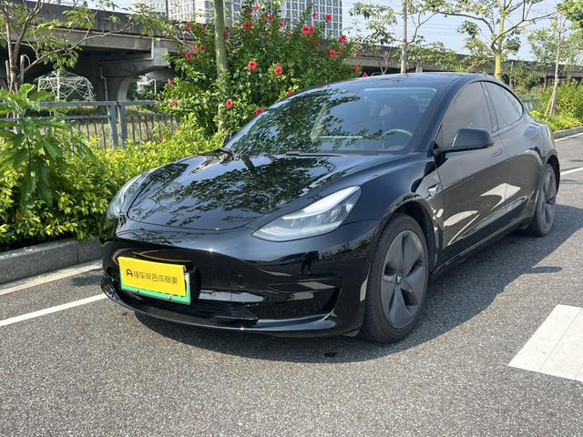 Model 3 2020 Modified Standard Range Rear Drive Upgrade