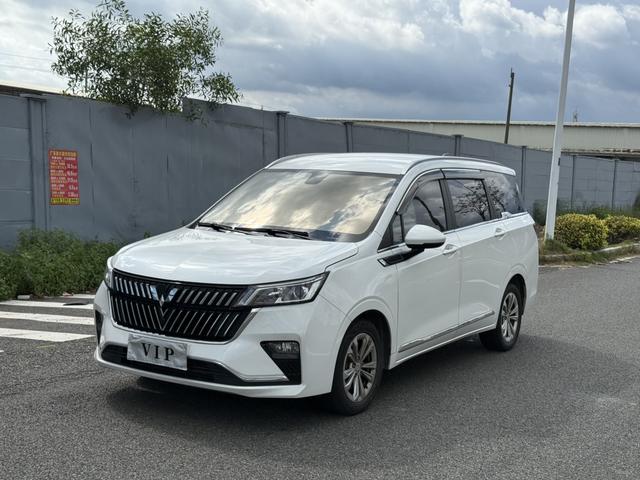 Wuling Jiachen 2022 1.5T CVT Exclusive Flagship Model