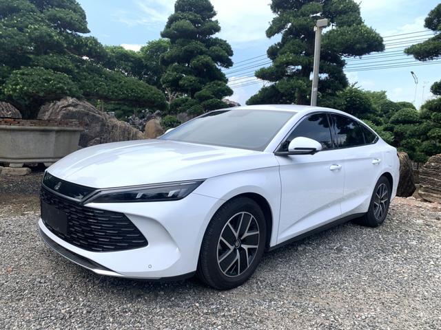Qin L DM 2024 DM-i 80KM transcendent Type
