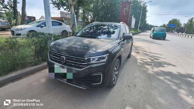 tanuki gte 2022 luxury