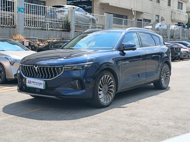 Landu FREE 2023 four-wheel drive ultra-long battery life extended range version