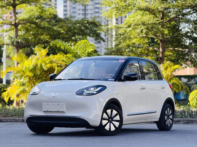 Wuling Bingguo 2025 Model 333KM Consonant Interconnection Model