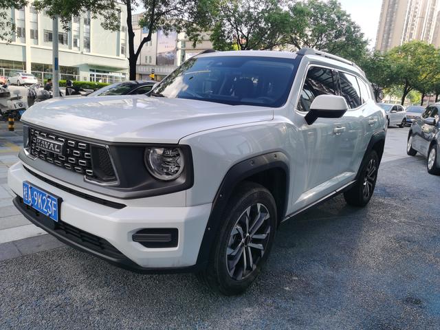 Haval Big Dog PLUS 2023 2.0T two-wheel drive Tide Wild Version Plus