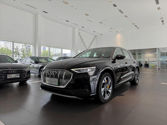 Audi e-tron (Import) 2019 55 quattro technology model year