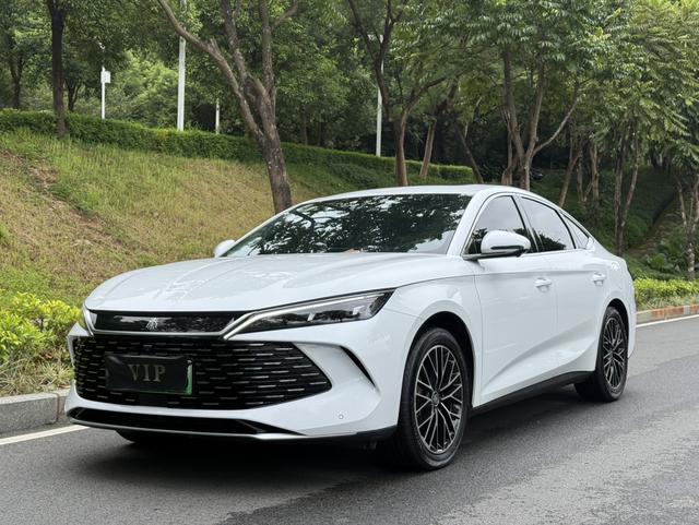 Qin L DM 2024 DM-i 120KM Excellent Type