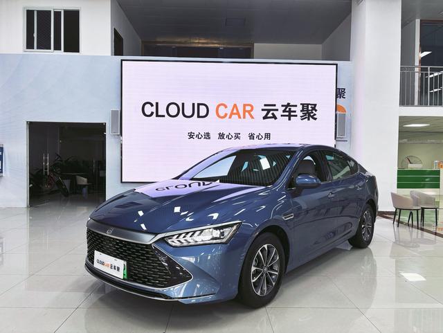 Qin PLUS DM 2024 Glory Version DM-i 55KM Leading Type