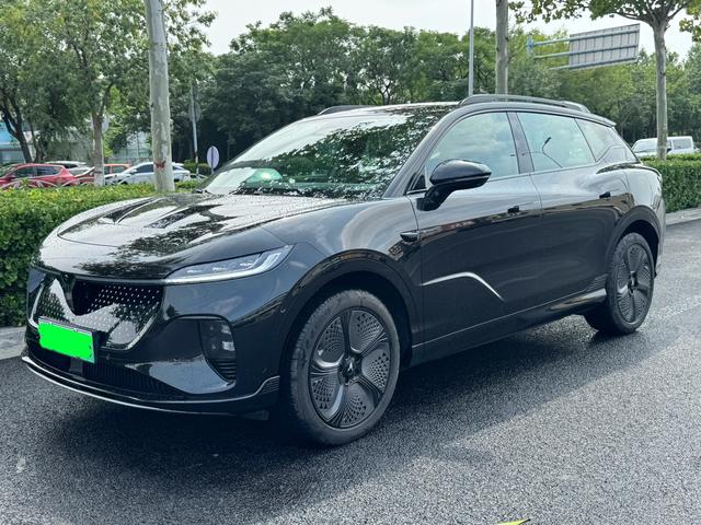 Landu Soulmate 2024 Four-wheel drive Global Edition