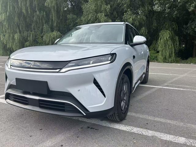 Yuan UP 2025 Smart Driving Version 401KM Vitality Version