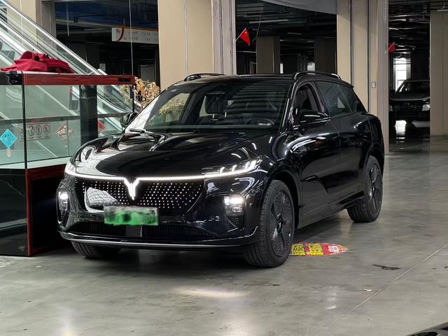 Landu Soulmate 2024 Four-wheel drive Global Edition