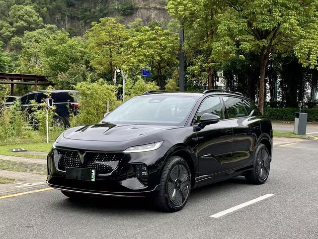 Landu Soulmate 2024 Four-wheel drive Global Edition
