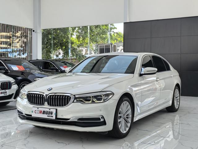 BMW 5 Series 2020 530Li Premium Luxury Package
