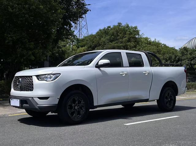 Cannon 2021 Commercial 2.0T Diesel Auto 4WD Elite Longbox GW4D20M
