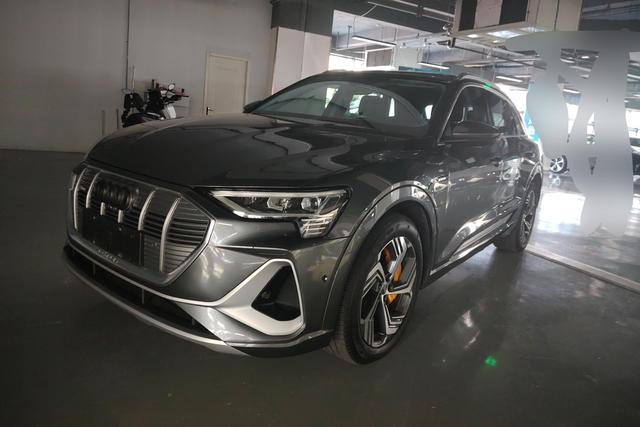 Audi e-tron 2021 50 quattro Pegasus