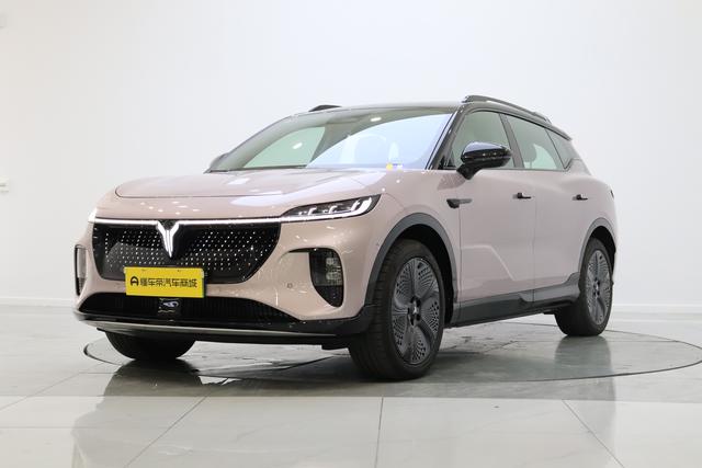 Landu Soulmate 2024 Four-wheel drive Global Edition