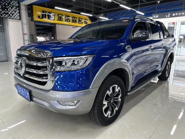 Cannon 2021 Passenger Global Edition 2.0T Gasoline Auto 4WD Premium Standard Box GW4C20B