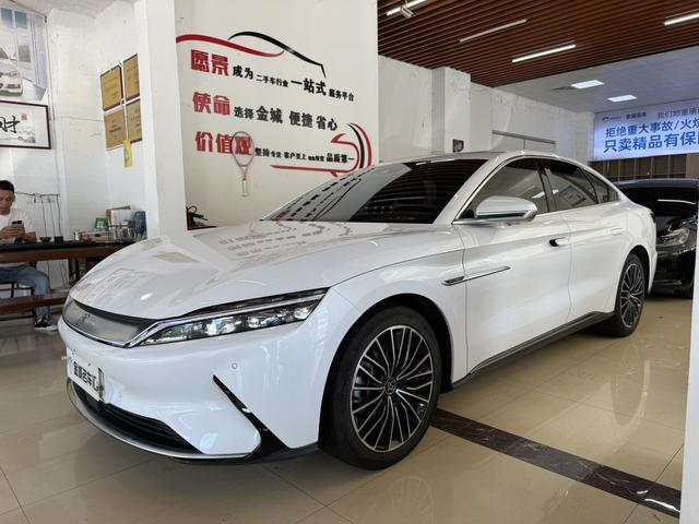 Han EV 2021 Standard Range Edition Deluxe