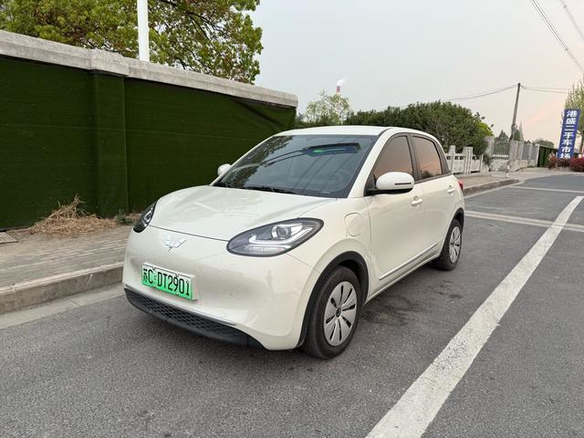 Wuling Colorado 2023 333KM Master Mind Connection Model