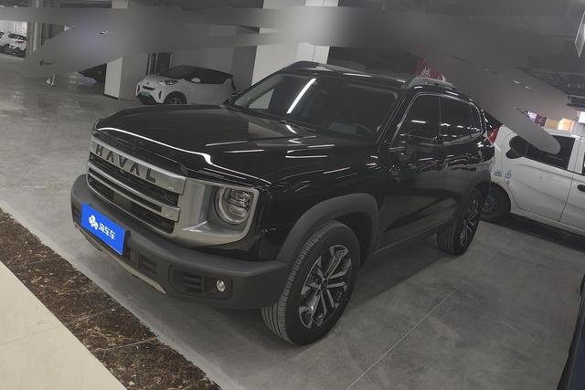 Havoc Big Dog 2024 1.5T 2WD Border Ranch Edition