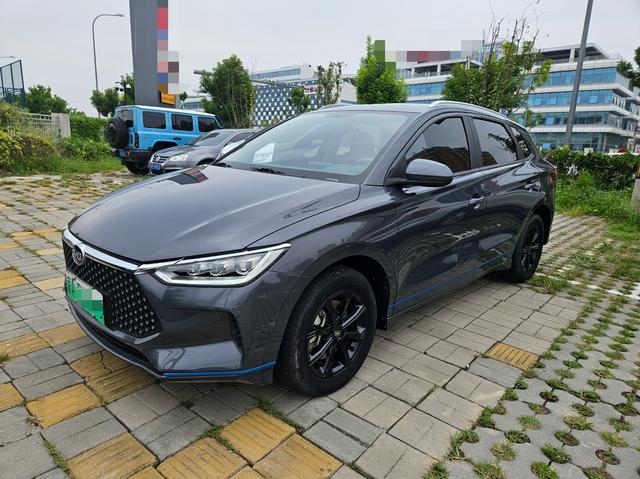 BYD e2 2019 High Range Edition Yew-Luxury
